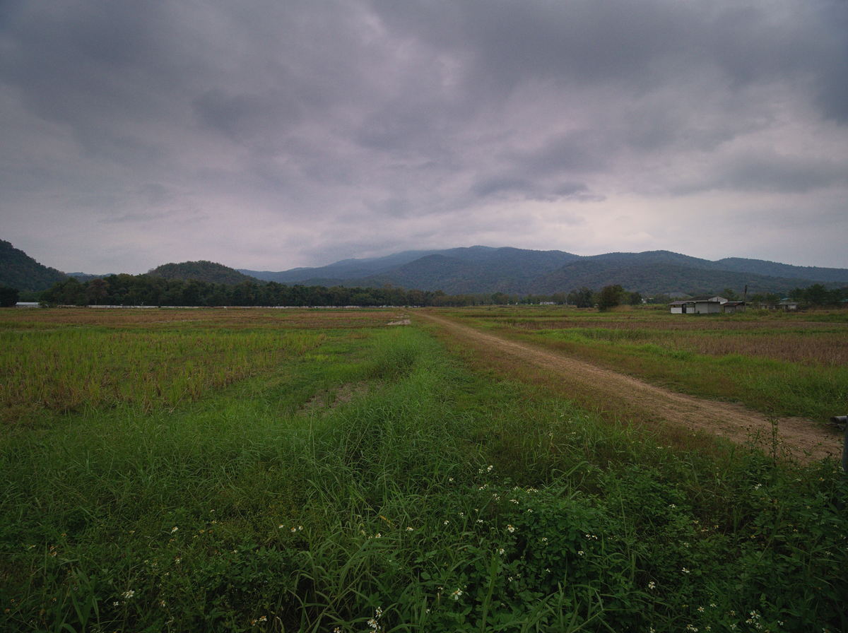 agriculture site Chiang Mai university