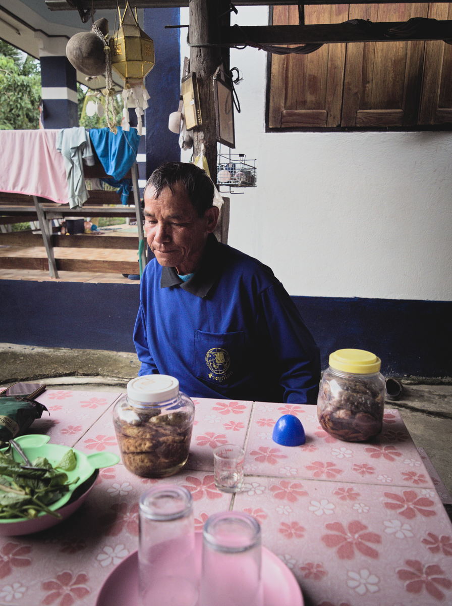 growing black rice in Chiang Mai, Northern Thailand