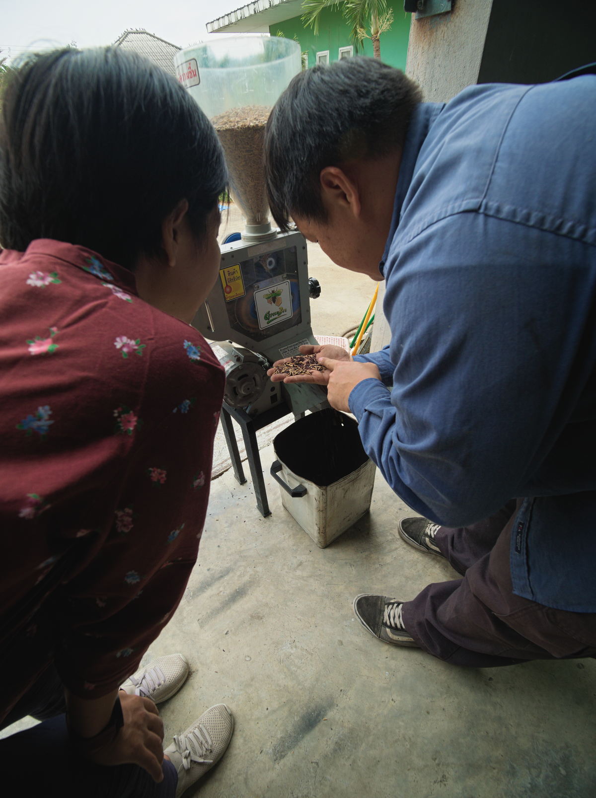 milling rice in Thailand