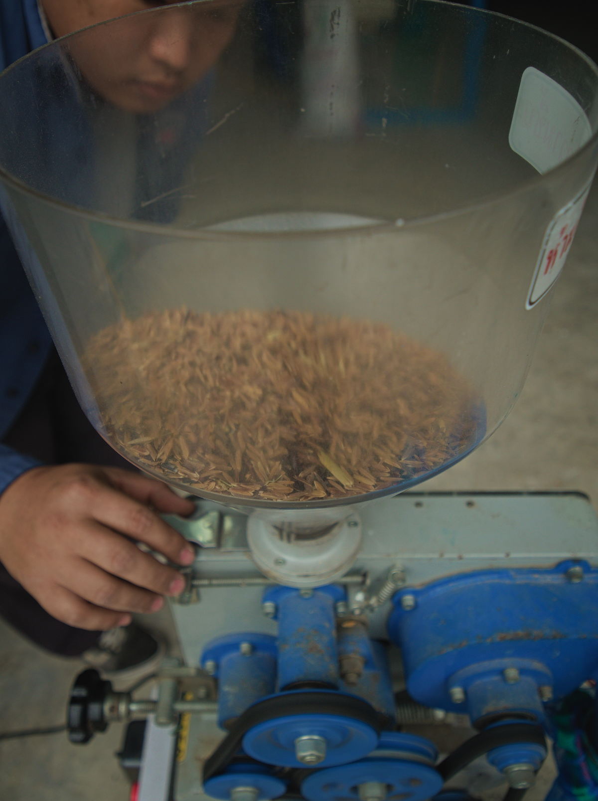milling rice in Asia