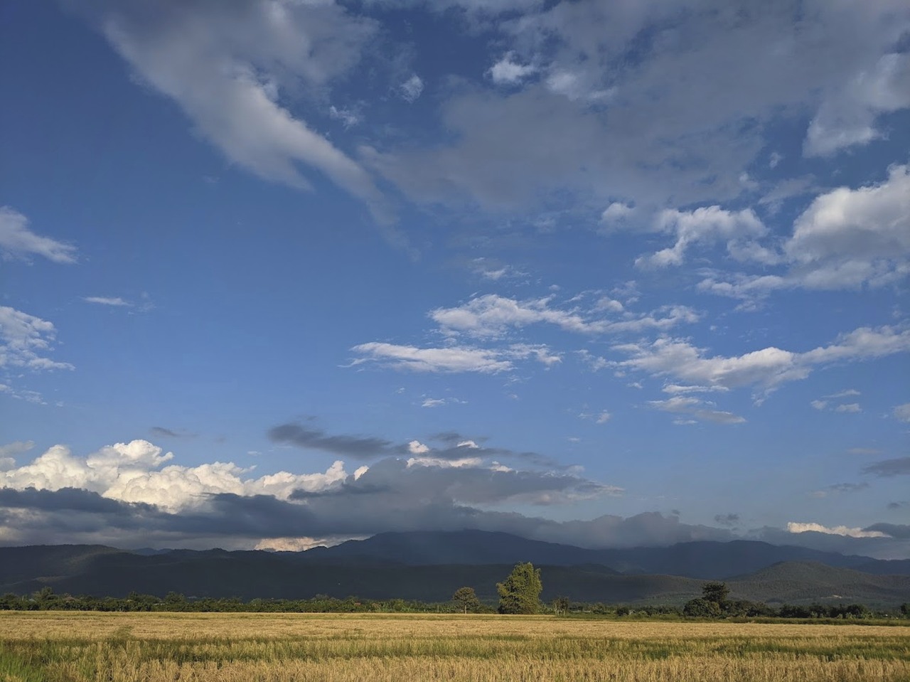 we bought farming land in Phrao