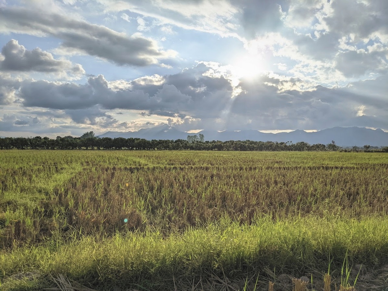 we bought land in Chiang Mai