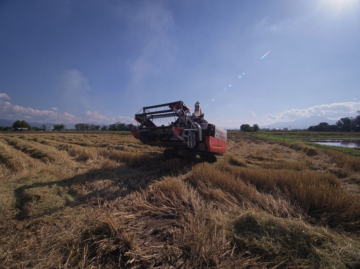 black rice harvester machine