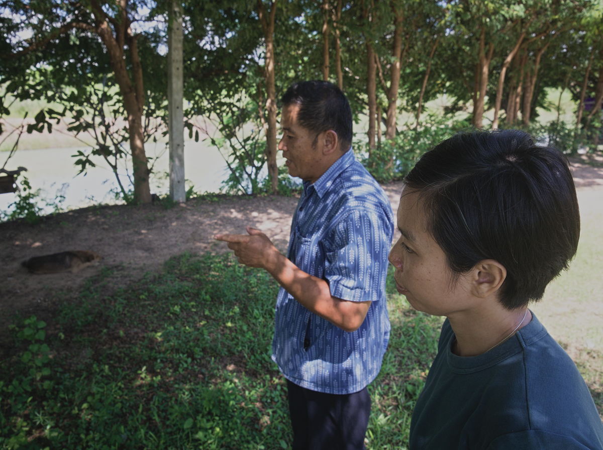 growing black rice in Chiang Mai, Northern Thailand