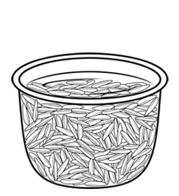 growing rice step 1 sprouting seeds